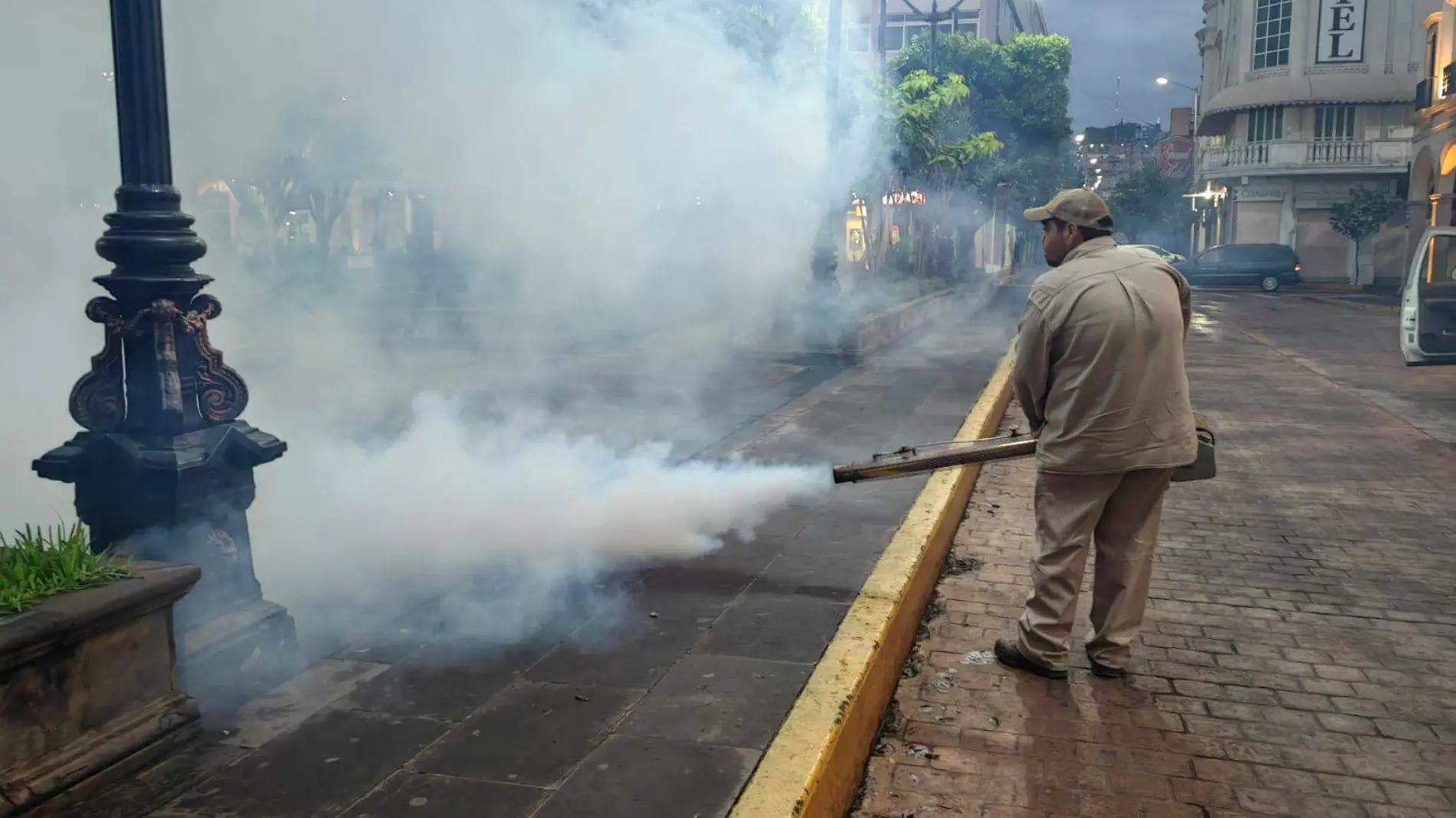 Fumigación y control larvario en Zamora